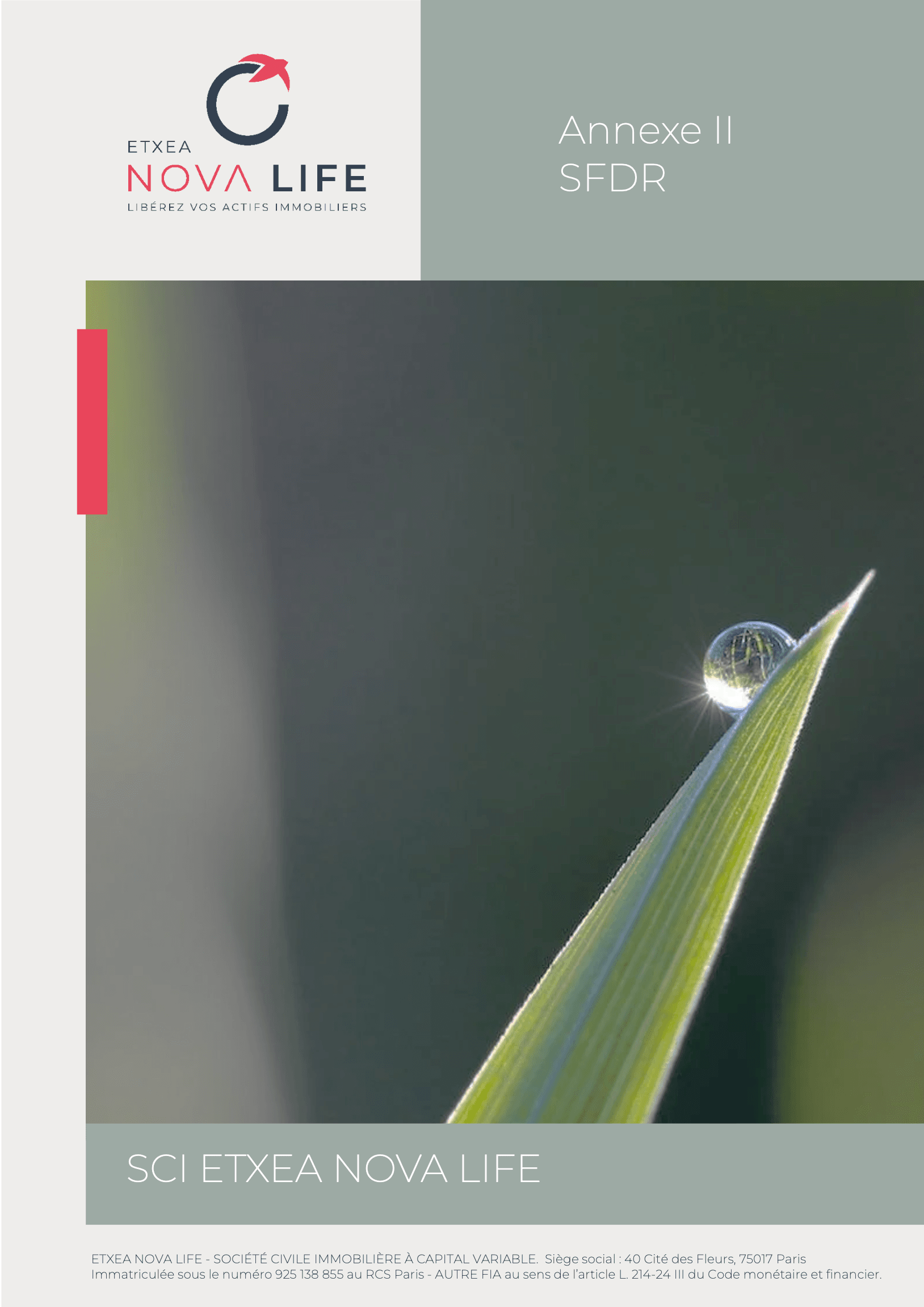 SFDR Article 8 hybride